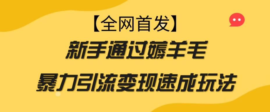 【全网首发】新手通过薅羊毛暴力引流变现速成玩法-康仁安资源