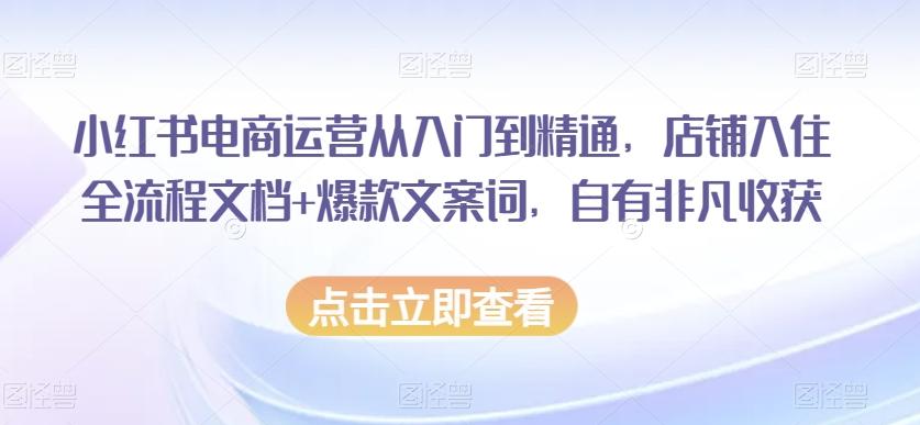 小红书电商运营从入门到精通，店铺入住全流程文档+爆款文案词，自有非凡收获-康仁安资源
