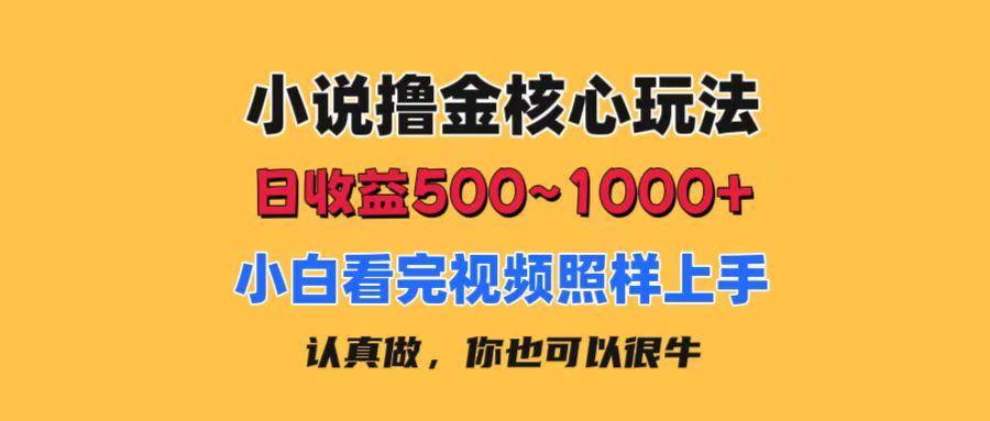 小说撸金核心玩法，日收益500-1000+，小白看完照样上手，0成本有手就行-康仁安资源