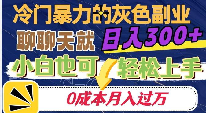 冷门暴利的副业项目，聊聊天就能日入300+，0成本月入过万【揭秘】-康仁安资源