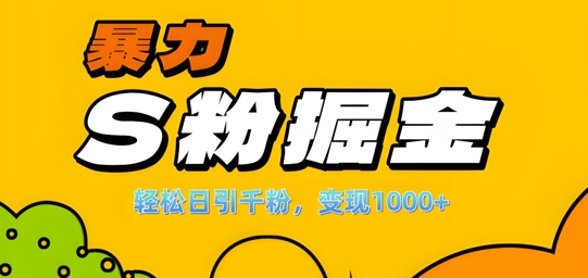 单人单机日引千粉，变现1k+，S粉流量掘金计划攻略【揭秘】-康仁安资源