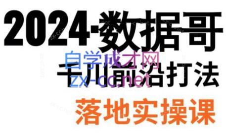 数据哥·2024年千川前沿打法落地实操课-康仁安资源