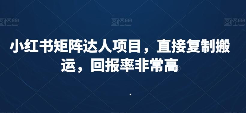 小红书矩阵达人项目，直接复制搬运，回报率非常高-康仁安资源