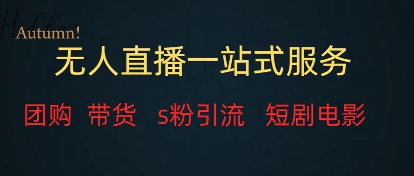 无人直播一站式服务（教程以及变现方式）-康仁安资源