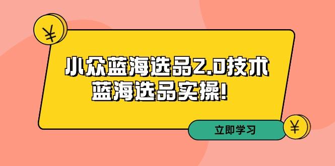 拼多多培训第33期：小众蓝海选品2.0技术-蓝海选品实操！-康仁安资源