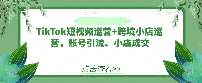 TikTok短视频运营+跨境小店运营，账号引流、小店成交-康仁安资源