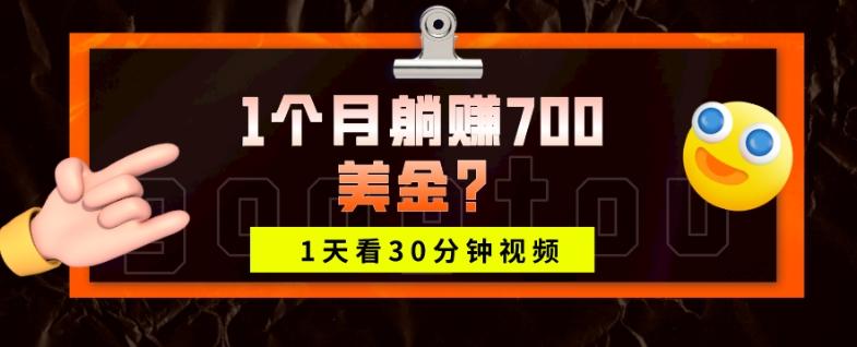 1天看30分钟视频，1个月躺赚700美金？-康仁安资源
