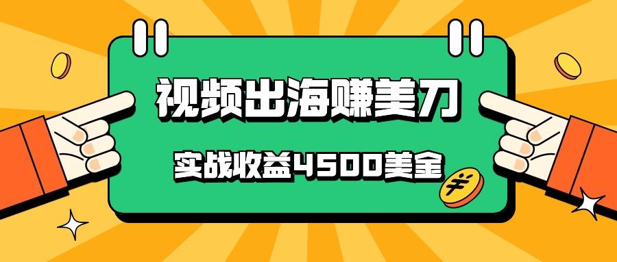 国内爆款视频出海赚美刀，实战收益4500美金，批量无脑搬运，无需经验直接上手-康仁安资源