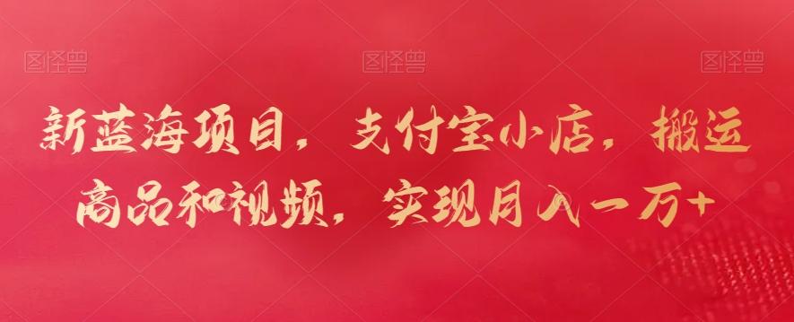 新蓝海项目，支付宝小店，搬运商品和视频，实现月入一万+【揭秘】-康仁安资源