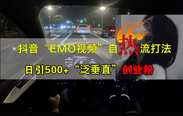 抖音EMO视频自热打法，日引500+“泛垂直”创业粉-康仁安资源