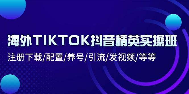 海外TIKTOK抖音精英实操班：注册下载/配置/养号/引流/发视频/等等-康仁安资源