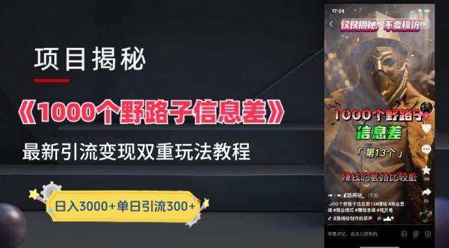 一千个野路子信息差最新玩法教程-变现+引流的玩法具体拆解【揭秘】-康仁安资源