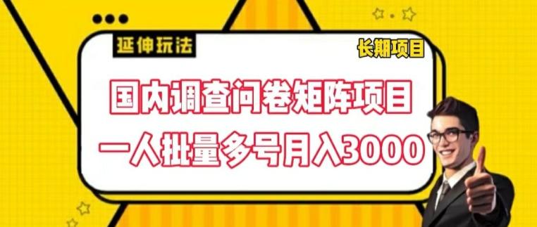 国内调查问卷矩阵项目，一人批量多号月入3000【揭秘】-康仁安资源