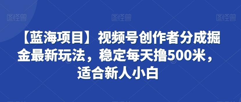 【蓝海项目】视频号创作者分成掘金最新玩法，稳定每天撸500米，适合新人小白【揭秘】-康仁安资源