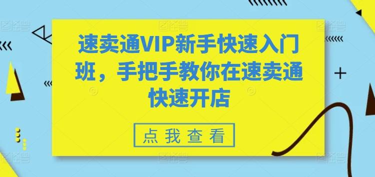 速卖通VIP新手快速入门班，手把手教你在速卖通快速开店-康仁安资源