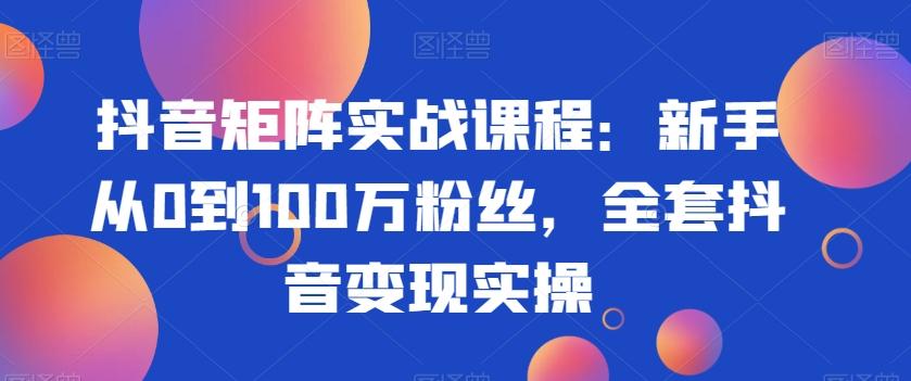 抖音矩阵实战课程：新手从0到100万粉丝，全套抖音变现实操-康仁安资源