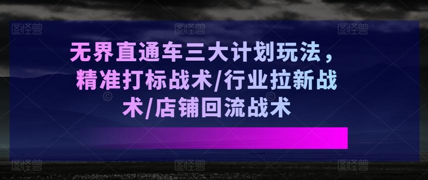 无界直通车三大计划玩法，精准打标战术/行业拉新战术/店铺回流战术-康仁安资源