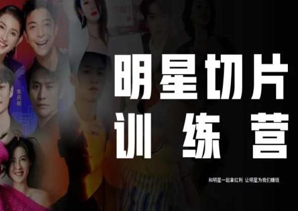 王子·明星切片线上训练营（2023），和明星一起拿红利，让明星为我们赚钱-康仁安资源
