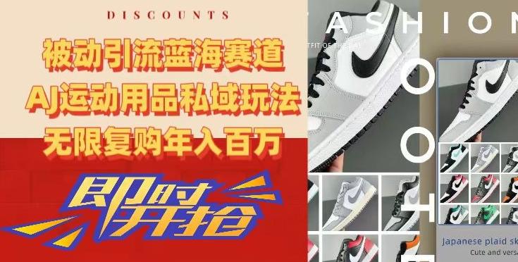 被动引流蓝海赛道，AJ运动用品私域玩法，无限复购年入百万【揭秘】-康仁安资源