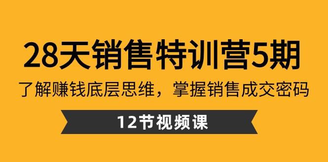 28天销售特训营5期：了解赚钱底层思维，掌握销售成交密码（12节课）-康仁安资源