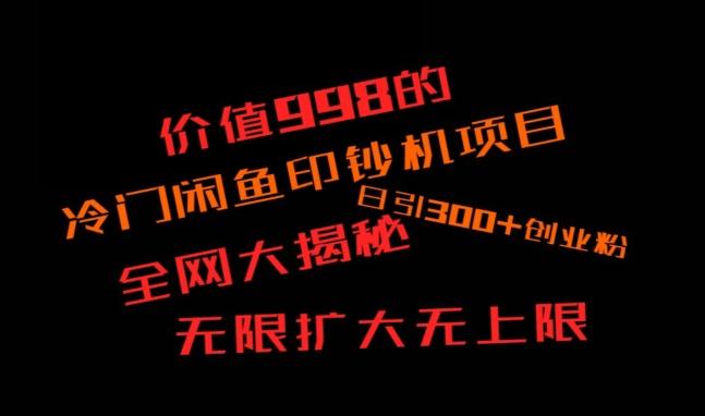 闲鱼流量印钞机项目大揭秘，日引300+创业粉，保姆级实操教程-康仁安资源