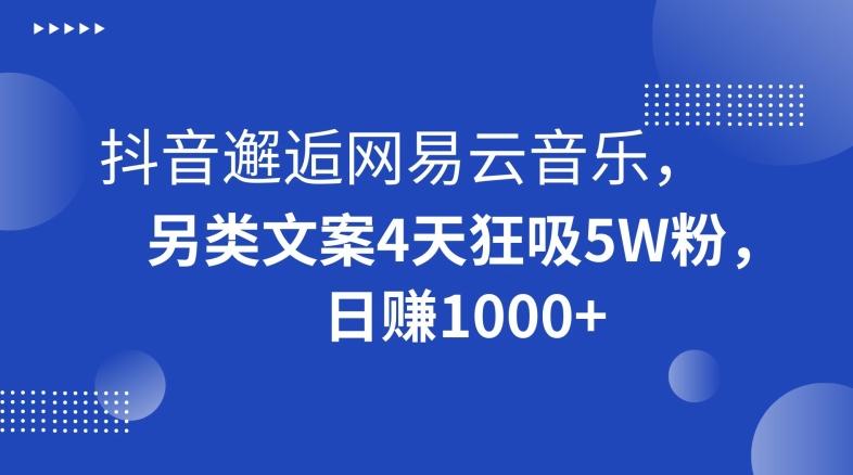 抖音邂逅网易云音乐，另类文案4天狂吸5W粉，日赚1000+【揭秘】-康仁安资源