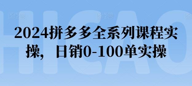 2024拼多多全系列课程实操，日销0-100单实操【必看】-康仁安资源