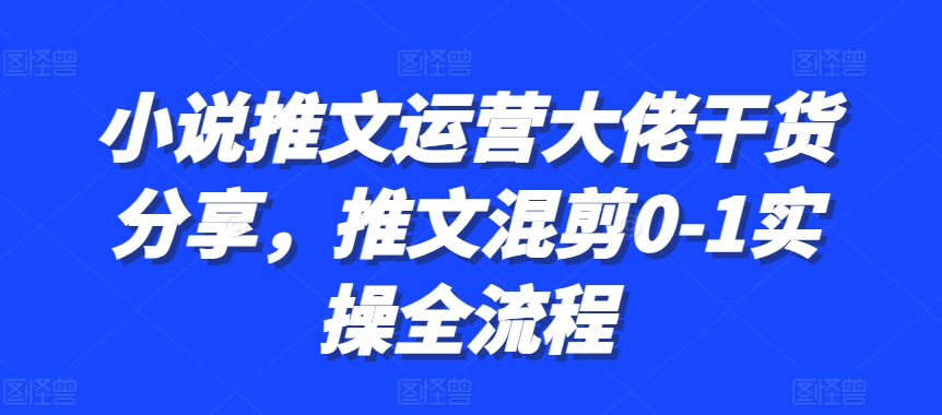 小说推文运营大佬干货分享，推文混剪0-1实操全流程-康仁安资源