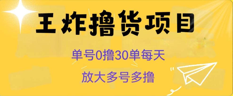 王炸撸货项目，单号0撸30单每天，多号多撸【揭秘】-康仁安资源
