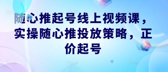 随心推起号线上视频课，实操随心推投放策略，正价起号-康仁安资源