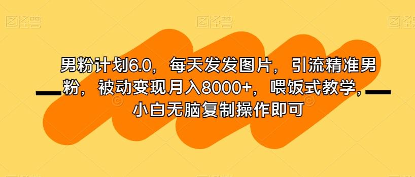 男粉计划6.0，每天发发图片，引流精准男粉，被动变现月入8000+，喂饭式教学，小白无脑复制操作即可-康仁安资源