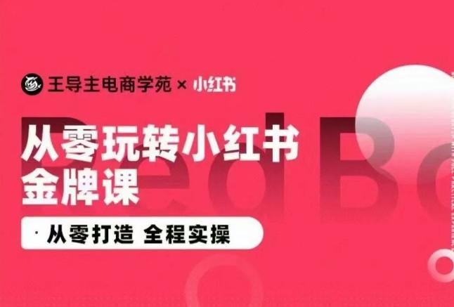 王导主·小红书电商运营实操课，​从零打造  全程实操-康仁安资源