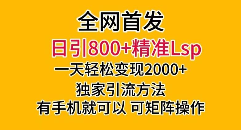 全网首发！日引800+精准老色批，一天变现2000+，独家引流方法，可矩阵操作【揭秘】-康仁安资源
