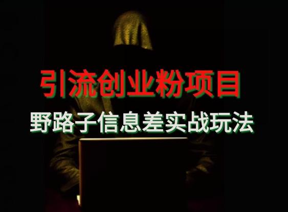 【引流创业粉】野路子信息差玩法实战教学-康仁安资源
