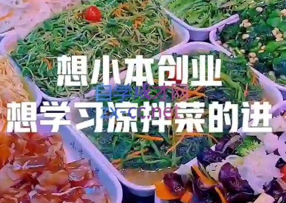 李记·精品凉拌菜系列热卤系列教程-康仁安资源