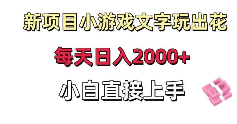 新项目小游戏文字玩出花日入2000+，每天只需一小时，小白直接上手【揭秘】-康仁安资源