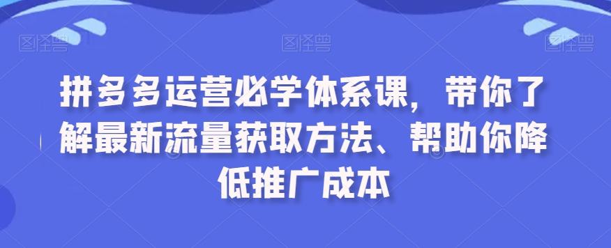 拼多多运营必学体系课，带你了解最新流量获取方法、帮助你降低推广成本-康仁安资源