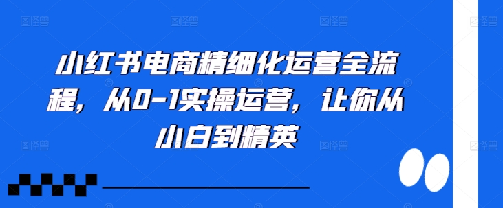 小红书电商精细化运营全流程，从0-1实操运营，让你从小白到精英-康仁安资源