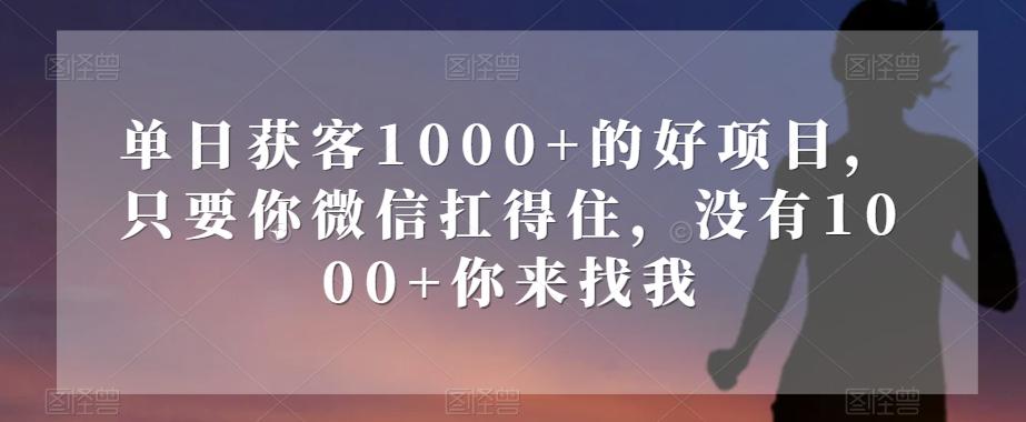 单日获客1000+的好项目，只要你微信扛得住，没有1000+你来找我【揭秘】-康仁安资源