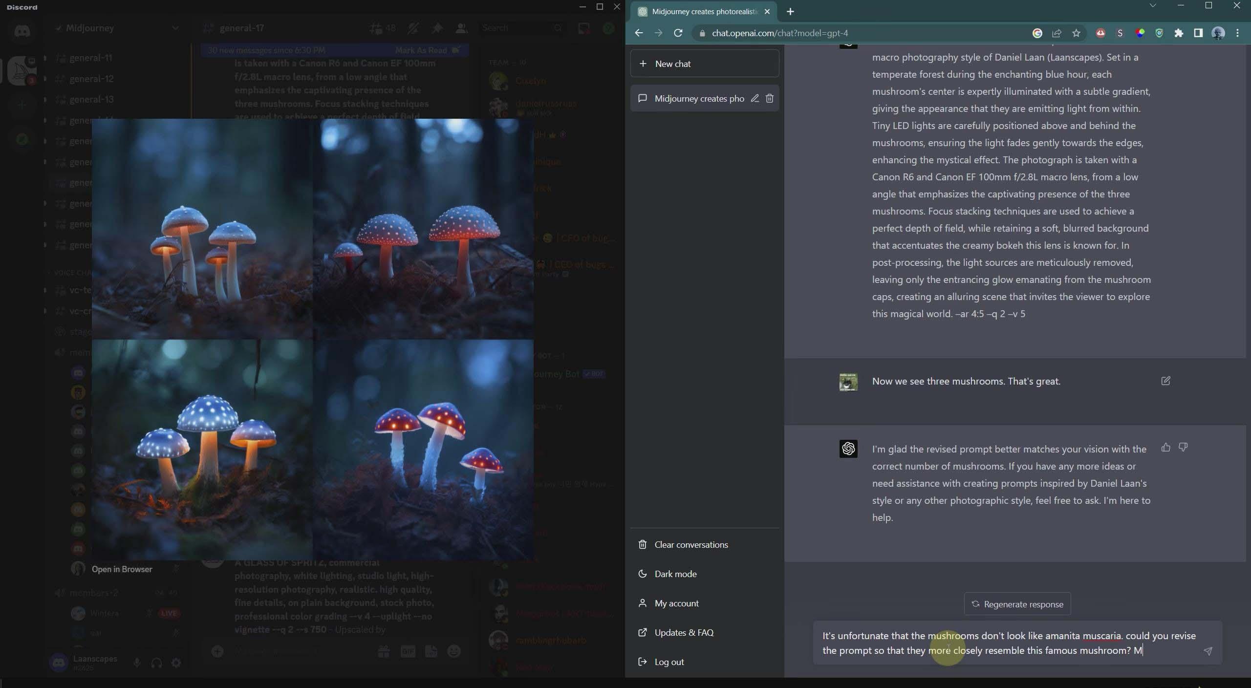 图片[4]-(8717期)摄影师 Daniel Laan 使用ChatGPT与Midjourney生成风光图像-中英字幕-康仁安资源