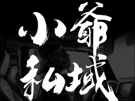 小爷·私域项目操盘手-康仁安资源