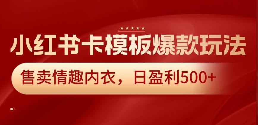 小红书卡模板爆款玩法，售卖情趣内衣，日盈利500+【揭秘】-康仁安资源
