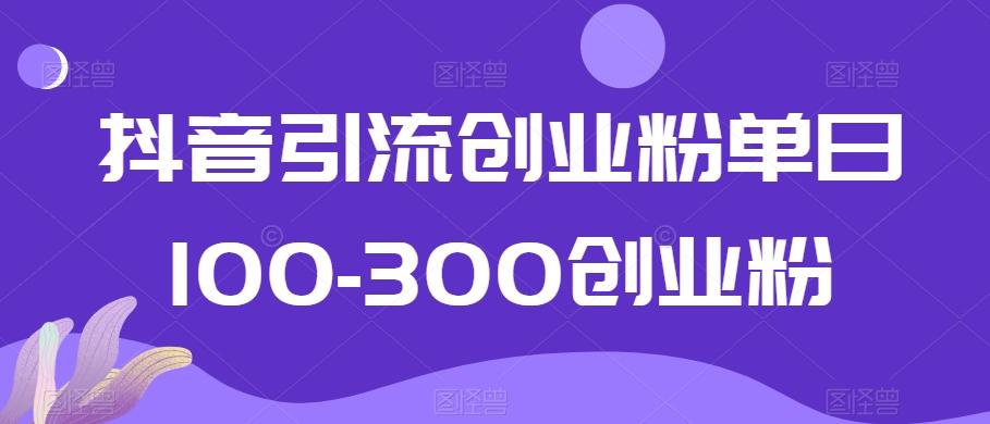 抖音引流创业粉单日100-300创业粉【揭秘】-康仁安资源