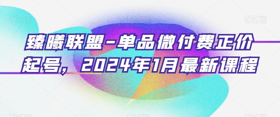 臻曦联盟-单品微付费正价起号，2024年1月最新课程-康仁安资源