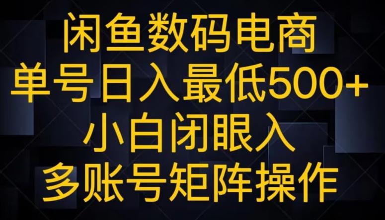 闲鱼数码电商，单号日入最低500+，小白闭眼入，多账号矩阵操作-康仁安资源