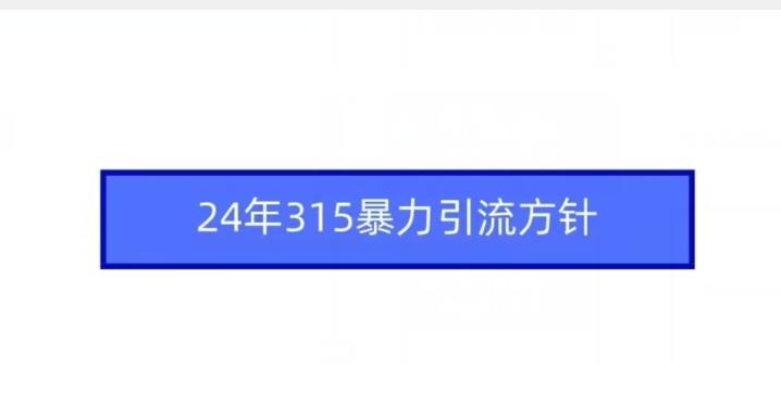 24年315暴力引流方针-康仁安资源