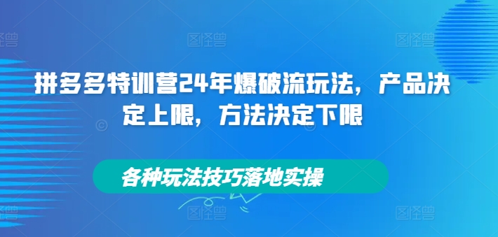拼多多特训营24年爆破流玩法，产品决定上限，方法决定下限，各种玩法技巧落地实操-康仁安资源