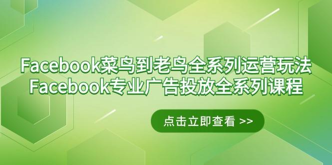 Facebook-菜鸟到老鸟全系列运营玩法+Facebook-专业广告投放全系列课程-康仁安资源