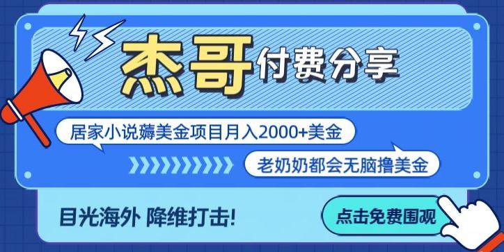 拆解海外撸美金项目月入2000美刀详细指导-康仁安资源