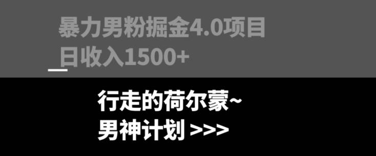 暴力男粉掘金4.0项目不违规不封号无脑复制单人操作日入1000+-康仁安资源